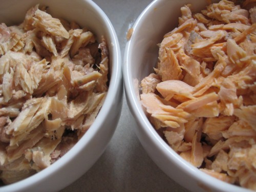 Canned salmon on the left, fresh on the right